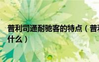 普利司通耐驰客的特点（普利司通泰然者和耐驰客的区别是什么）