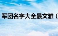 军团名字大全最文雅（文雅的军团名字精选）