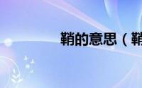 鞘的意思（鞘是什么意思）