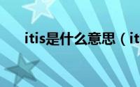 itis是什么意思（itis英语是什么意思）