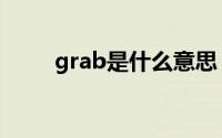 grab是什么意思（grab怎么翻译）