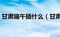 甘肃端午插什么（甘肃端午插杨柳典故介绍）