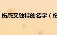 伤感又独特的名字（伤感又独特的名字推荐）