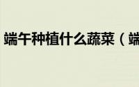 端午种植什么蔬菜（端午节适合种什么蔬菜）