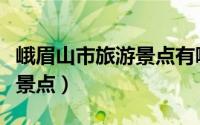 峨眉山市旅游景点有哪些（峨眉山市十大旅游景点）
