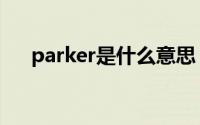 parker是什么意思（parker怎么翻译）