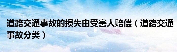 道路交通事故的损失由受害人赔偿（道路交通事故分类）