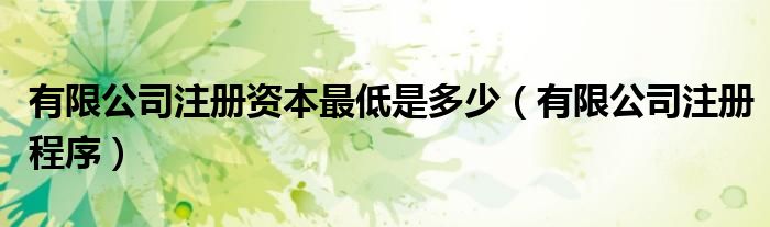 有限公司注册资本最低是多少（有限公司注册程序）
