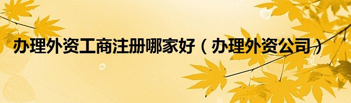 办理外资工商注册哪家好（办理外资公司）