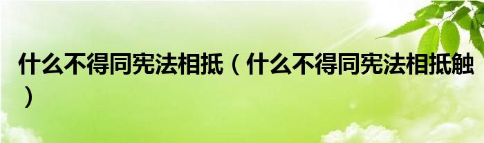 什么不得同宪法相抵（什么不得同宪法相抵触）