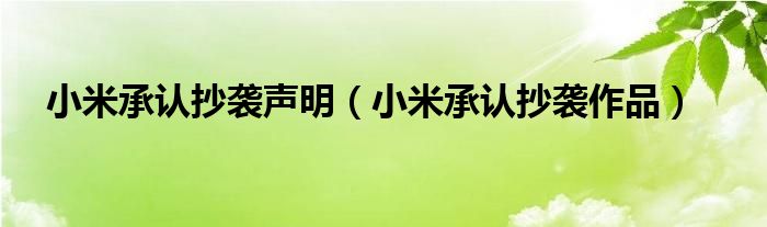 小米承认抄袭声明（小米承认抄袭作品）
