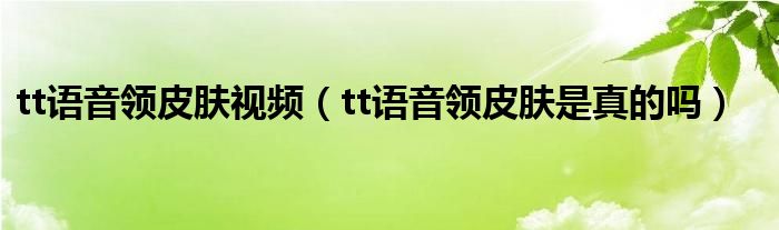 tt语音领皮肤视频（tt语音领皮肤是真的吗）