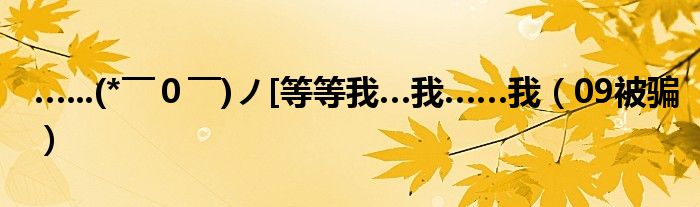 …...(*￣０￣)ノ[等等我…我……我（09被骗）