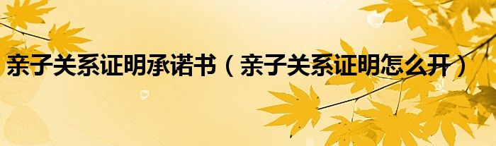 亲子关系证明承诺书（亲子关系证明怎么开）