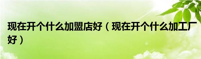 现在开个什么加盟店好（现在开个什么加工厂好）