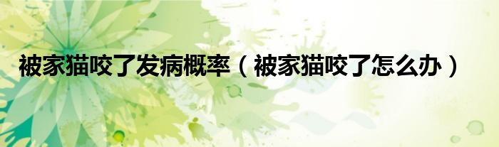 被家猫咬了发病概率（被家猫咬了怎么办）