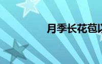 月季长花苞以后施什么肥
