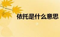 依托是什么意思（依托如何理解）