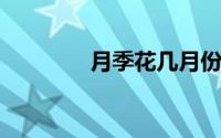 月季花几月份嫁接成活率高
