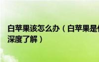 白苹果该怎么办（白苹果是什么意思以及白苹果的修复方法深度了解）