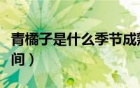 青橘子是什么季节成熟的水果（青桔的成熟时间）