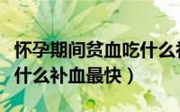 怀孕期间贫血吃什么补得快（怀孕期间贫血吃什么补血最快）