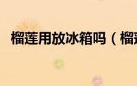 榴莲用放冰箱吗（榴莲到底能不能放冰箱）