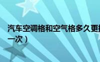 汽车空调格和空气格多久更换（汽车空调格和空气格多久换一次）