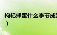 枸杞蜂蜜什么季节成熟（枸杞蜂蜜几月份成熟）