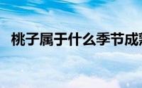 桃子属于什么季节成熟（桃子成熟的季节）
