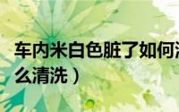 车内米白色脏了如何清洗（车内米白色脏了怎么清洗）