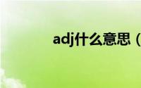 adj什么意思（adj代表什么）