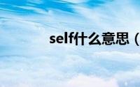 self什么意思（self怎么翻译）