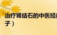 治疗肾结石的中医经典方子（治疗肾结石的方子）