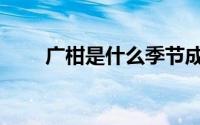 广柑是什么季节成熟（广柑的简介）
