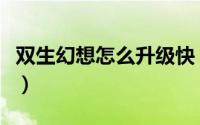 双生幻想怎么升级快（双生幻想快速升级方法）