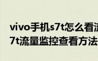 vivo手机s7t怎么看流量监控（步步高vivo S7t流量监控查看方法）