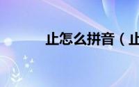 止怎么拼音（止的拼音是什么）