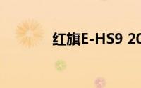 红旗E-HS9 2021的驾驶评测
