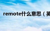 remote什么意思（英语remote什么意思）