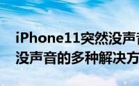 iPhone11突然没声音了怎么办（iPhone11没声音的多种解决方法）