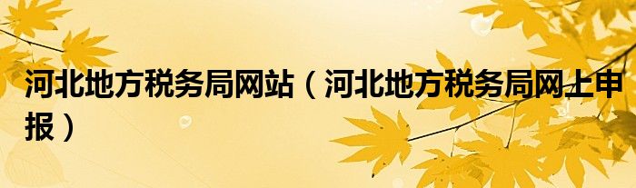 河北地方税务局网站（河北地方税务局网上申报）