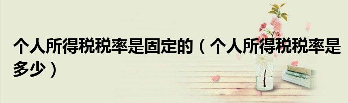 个人所得税税率是固定的（个人所得税税率是多少）