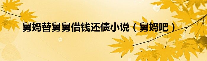  舅妈替舅舅借钱还债小说（舅妈吧）