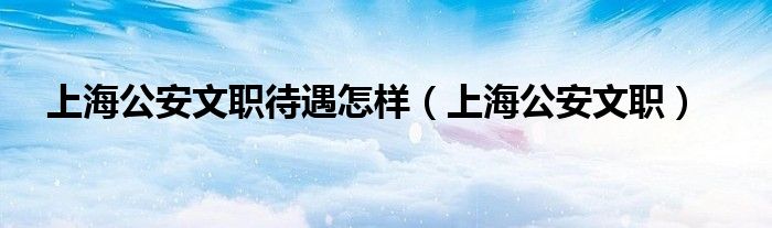 上海公安文职待遇怎样（上海公安文职）
