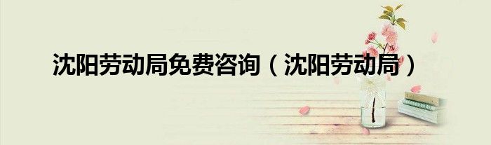 沈阳劳动局免费咨询（沈阳劳动局）