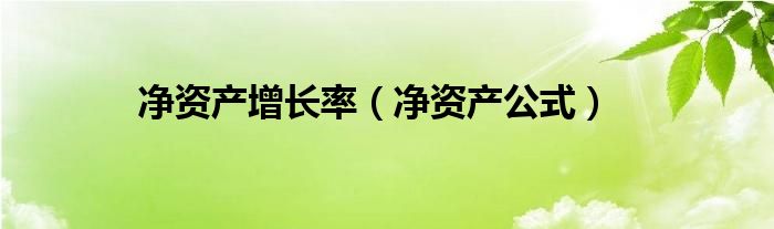 净资产增长率（净资产公式）