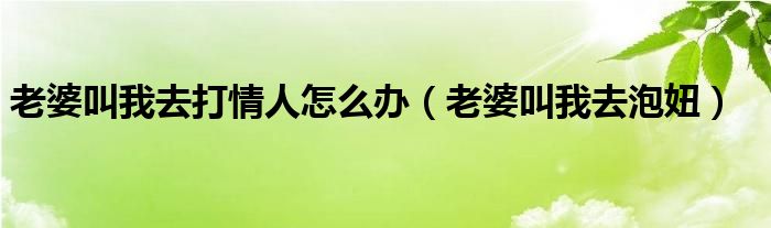 老婆叫我去打情人怎么办（老婆叫我去泡妞）