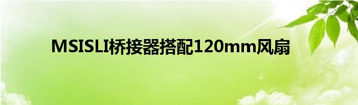MSISLI桥接器搭配120mm风扇