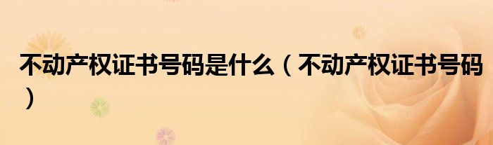 不动产权证书号码是什么（不动产权证书号码）